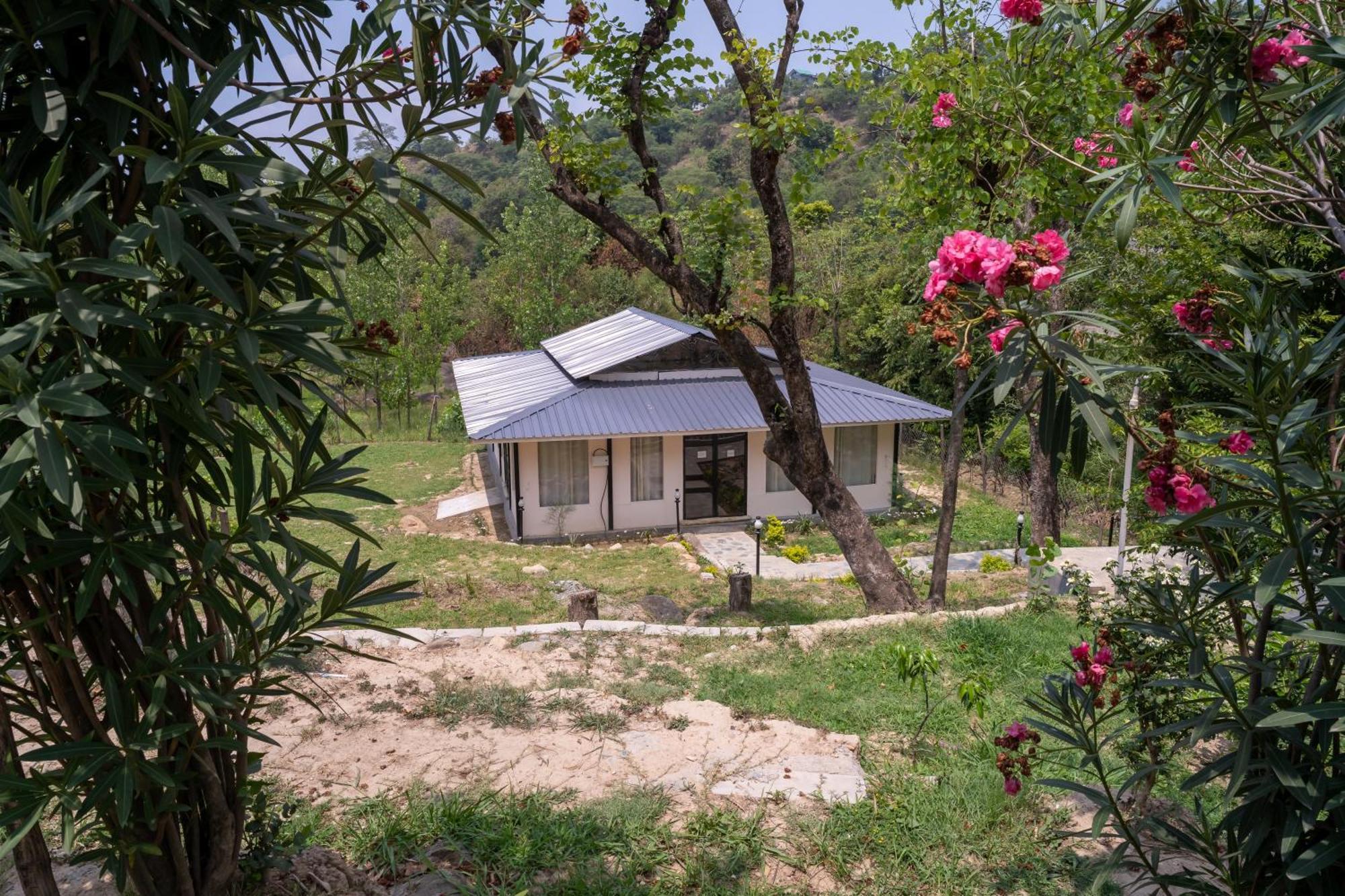 Dev Bhoomi Farms & Cottages Dharamshala Exterior foto